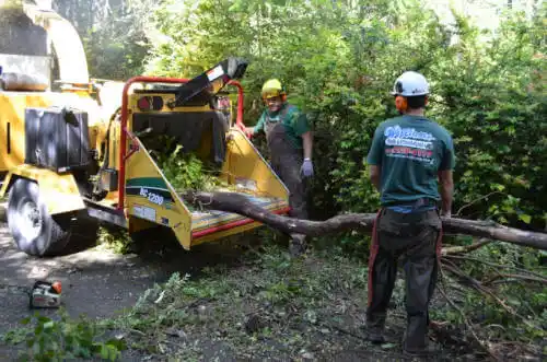 tree services Magnolia Springs